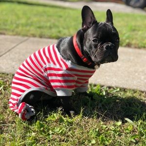 Meet your Posher, Alejandro